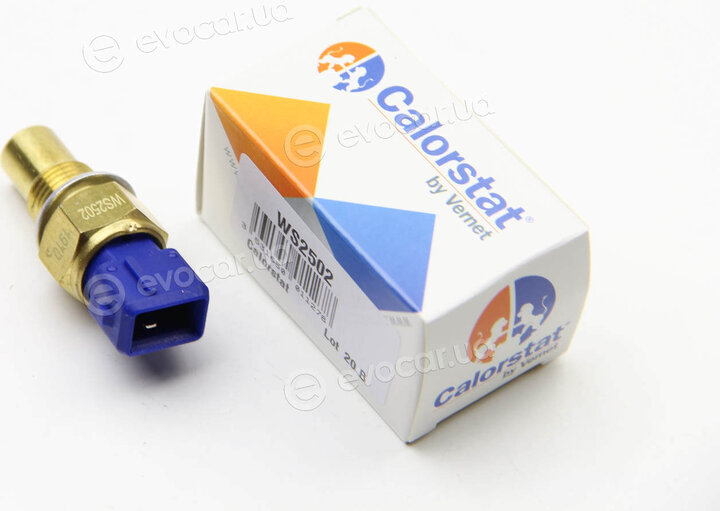 Vernet / Calorstat WS2502