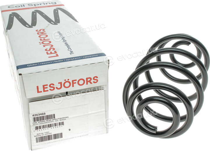 Lesjofors 4263466