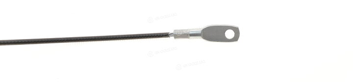AIC 76029