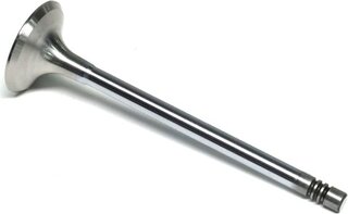Gunes 6007