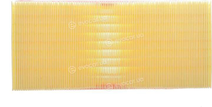 Solgy 103166