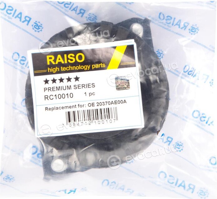 Raiso RC10010