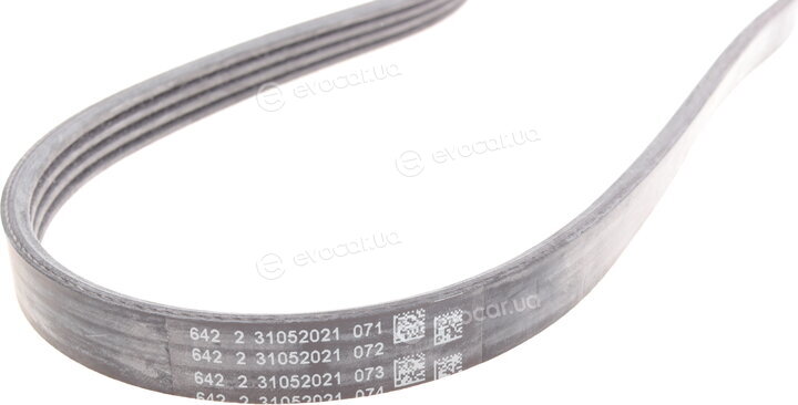 Continental 4PK922 ELAST