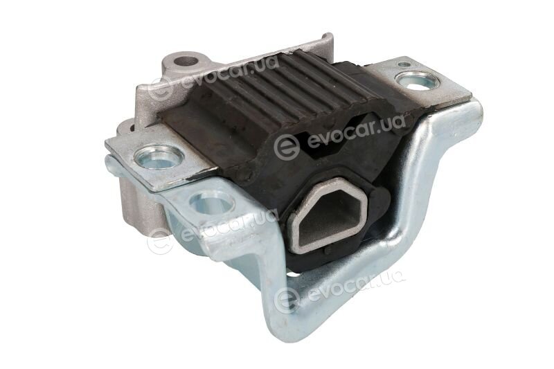 Reinhoch RH111087