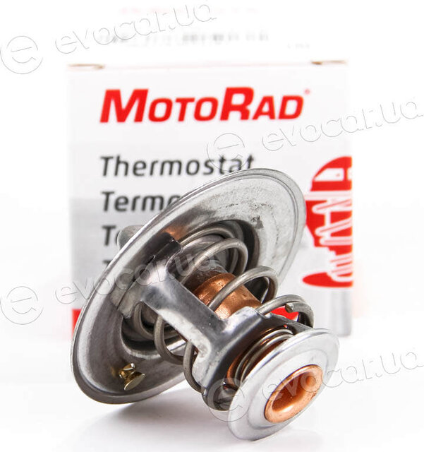Motorad 552-82K