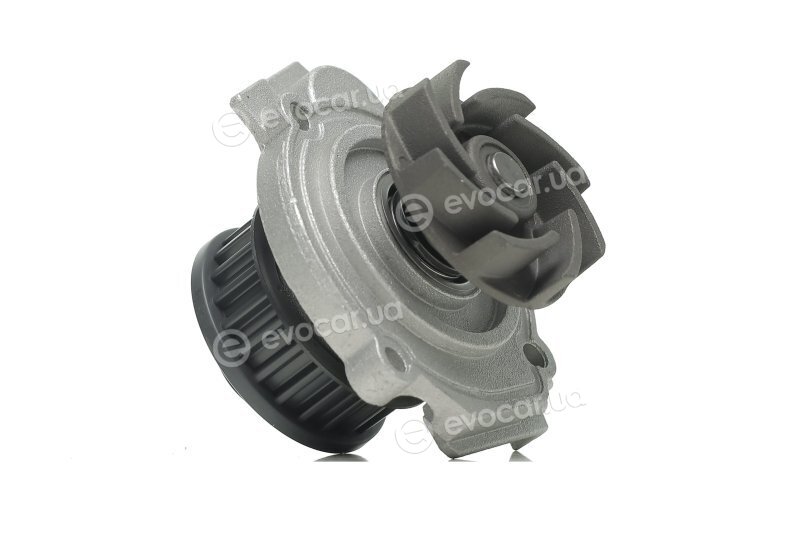 Dolz S261