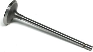 Gunes 4657