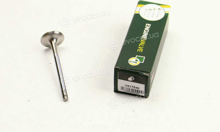 BGA V517646