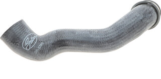 Gates 05-3389