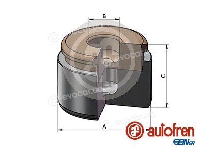 Autofren D025731