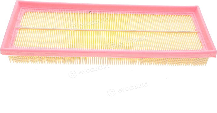 Solgy 103031
