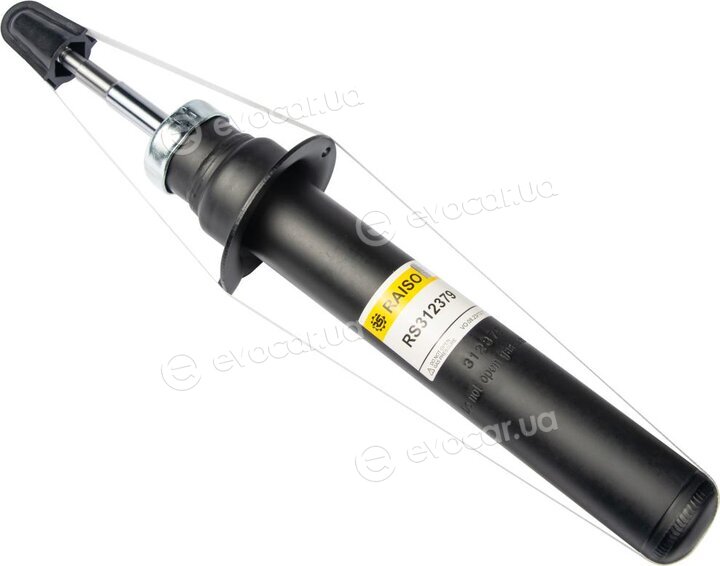 Raiso RS312379