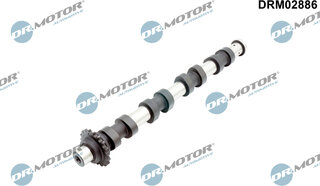 Dr. Motor DRM02886