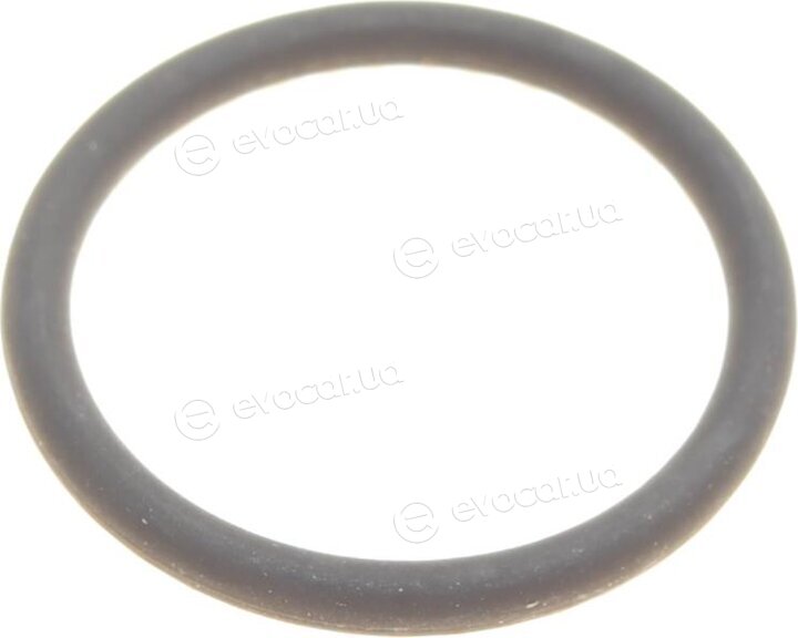 Elring 477.070