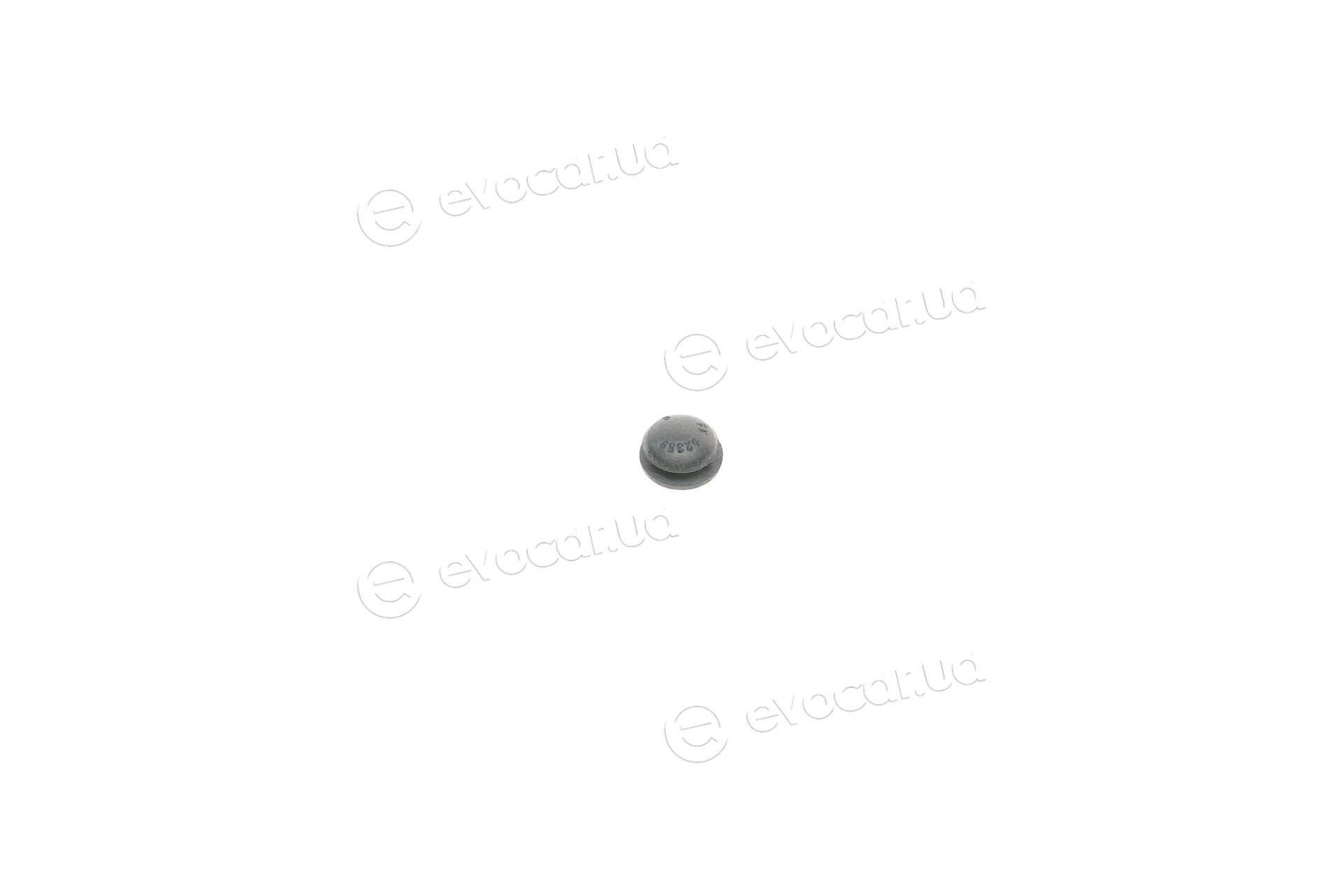 Frenkit 238032