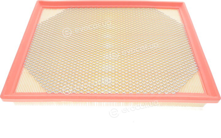 Mann C 36 172