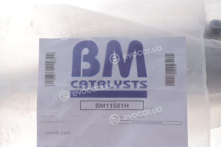 BM Catalysts BM11581H