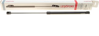 Lesjofors 8127552