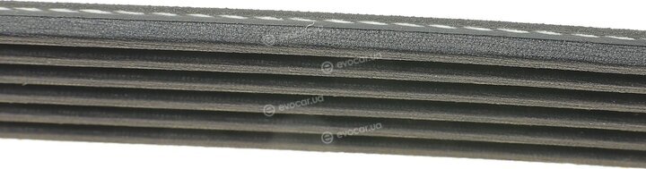 Dayco 6PK1215