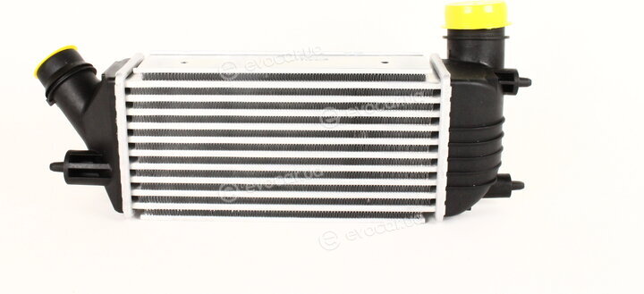 Kale 350860