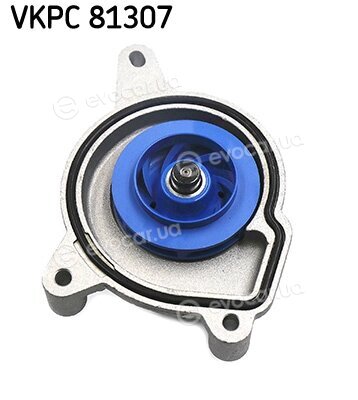 SKF VKPC 81307