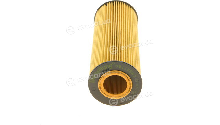 Borsehung B10544