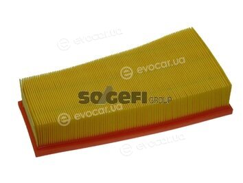 Coopers Fiaam PA7317