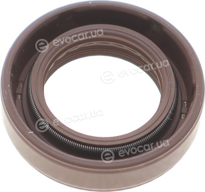 Elring 247.300