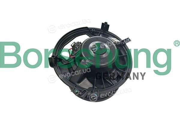 Borsehung B11274