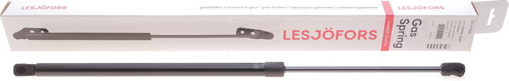 Lesjofors 8137256