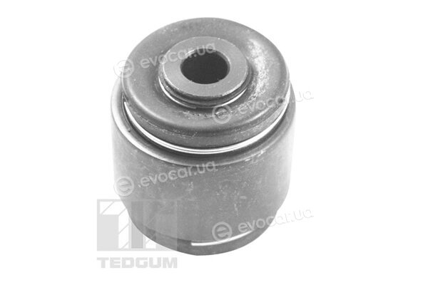 Tedgum TED48244