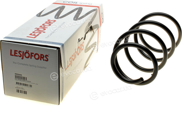 Lesjofors 4092603