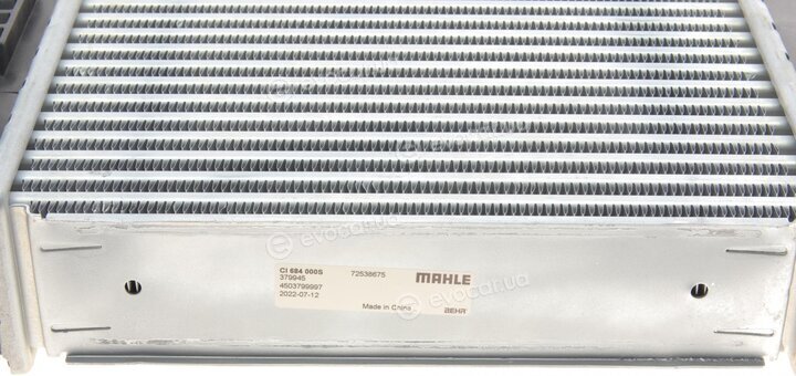 Mahle CI 684 000S