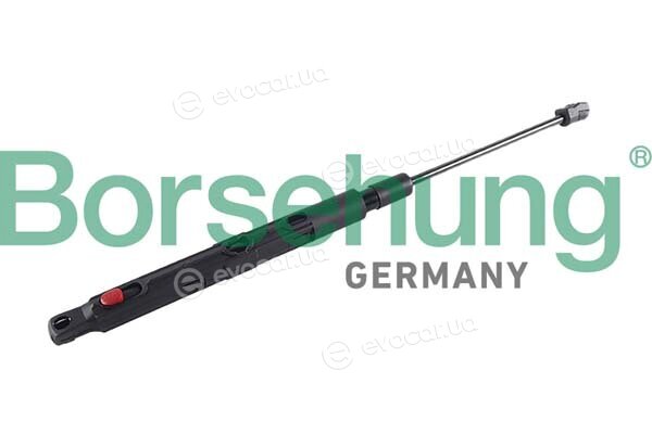 Borsehung B12483