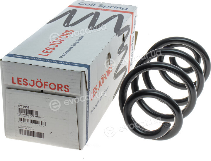 Lesjofors 4272959