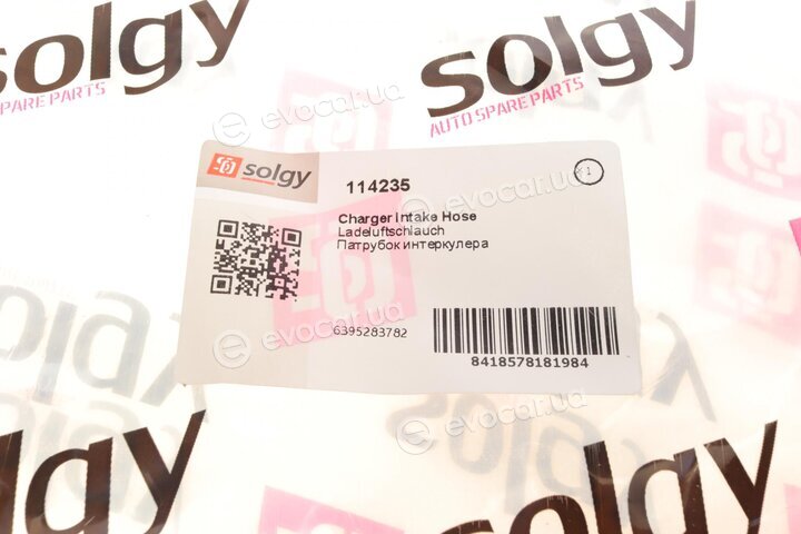 Solgy 114235