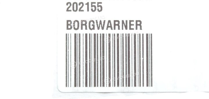 BorgWarner 202155