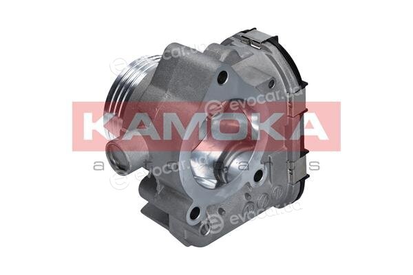 Kamoka 112020