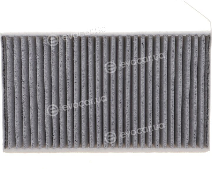 Solgy 104157