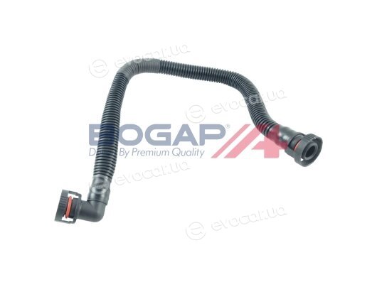 Bogap A1210138