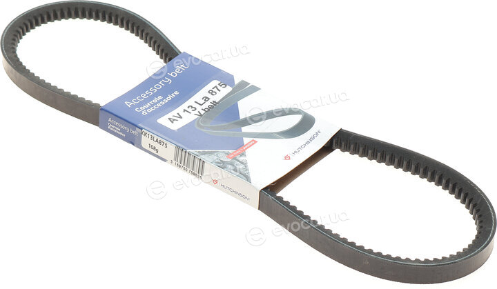 Hutchinson AV 13 La 875