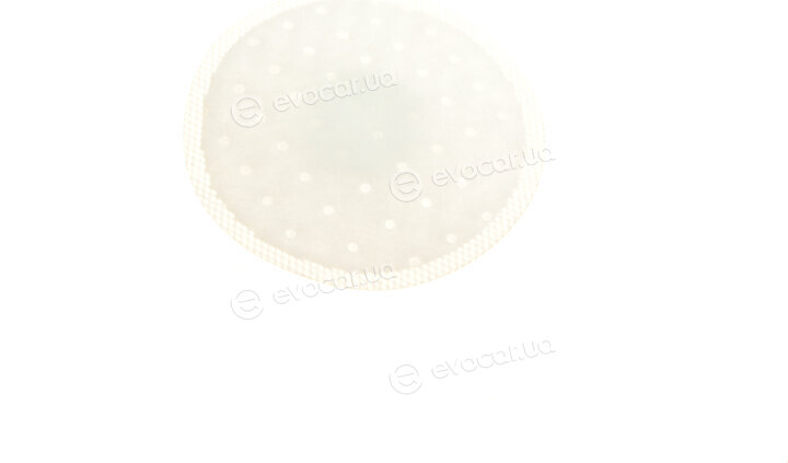 Magneti Marelli 313011300061