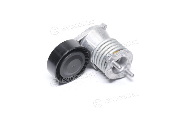 Dayco APV3019
