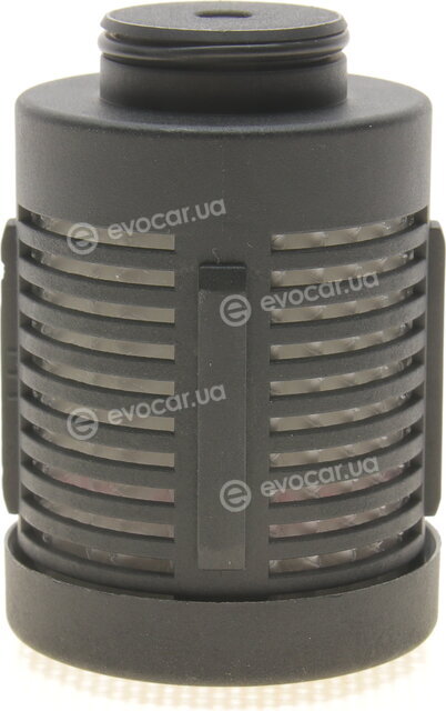 BorgWarner DS2006273