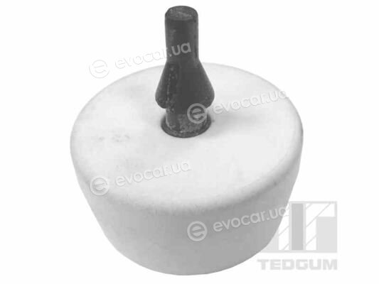 Tedgum 00724547