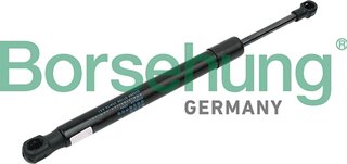 Borsehung B14190