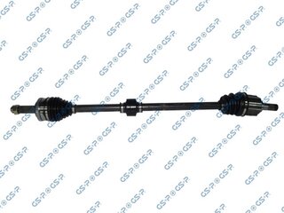GSP 224282