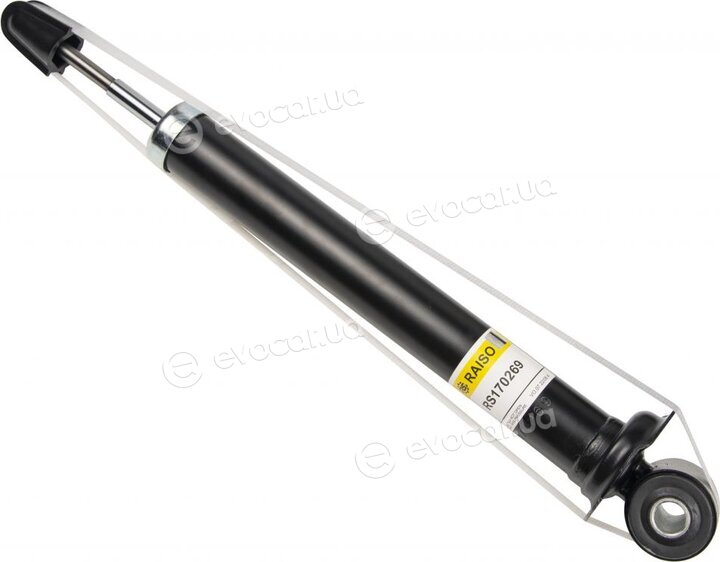 Raiso RS170269