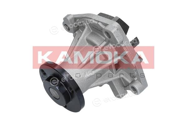 Kamoka T0011