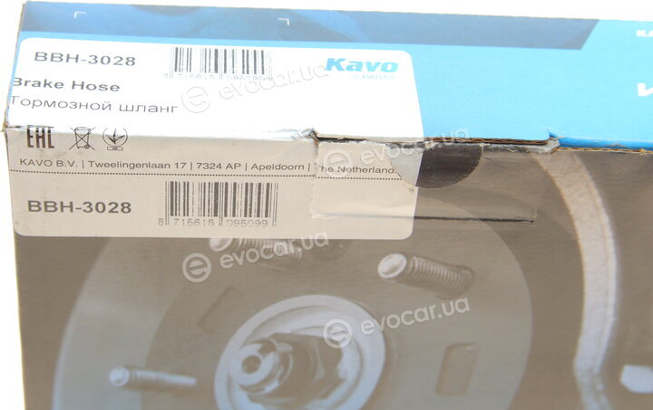 Kavo BBH-3028